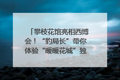 攀枝花馆亮相西博会！“豹局长”带你体验“暖暖花城”独特魅力｜西博视界