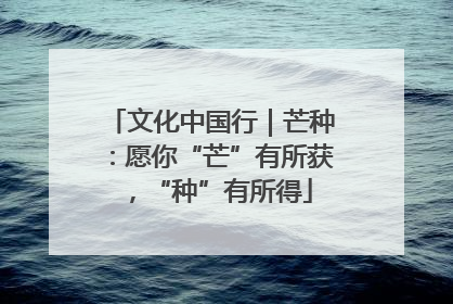 文化中国行｜芒种：愿你“芒”有所获，“种”有所得