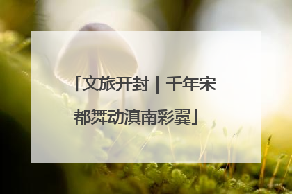 文旅开封｜千年宋都舞动滇南彩翼