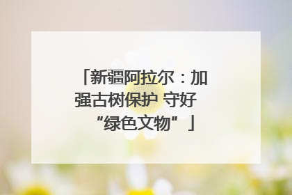 新疆阿拉尔：加强古树保护 守好“绿色文物”