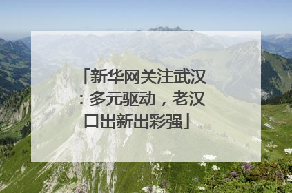 新华网关注武汉：多元驱动，老汉口出新出彩强