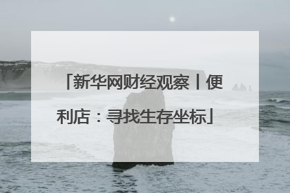 新华网财经观察丨便利店：寻找生存坐标
