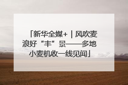 新华全媒+｜风吹麦浪好“丰”景——多地小麦机收一线见闻