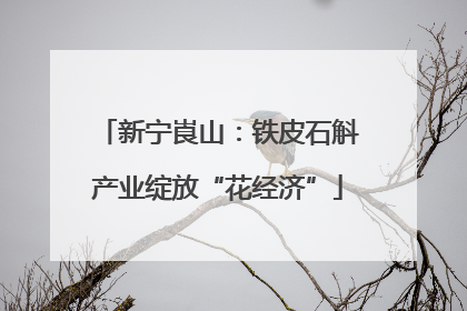 新宁崀山：铁皮石斛产业绽放“花经济”