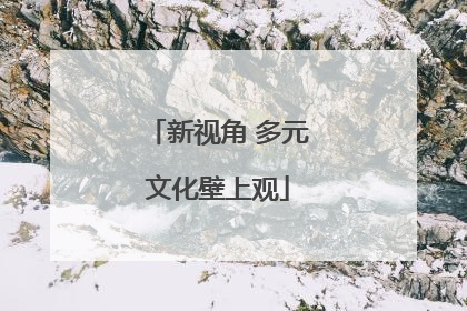 新视角 多元文化壁上观