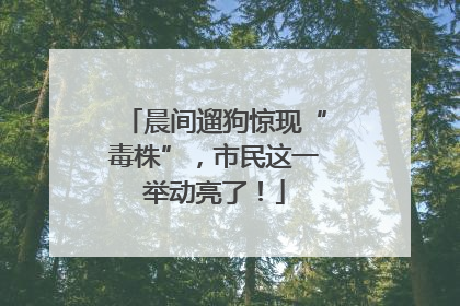 晨间遛狗惊现“毒株”，市民这一举动亮了！
