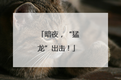 暗夜，“猛龙”出击！