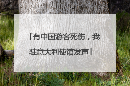 有中国游客死伤，我驻意大利使馆发声