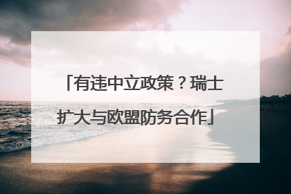 有违中立政策？瑞士扩大与欧盟防务合作