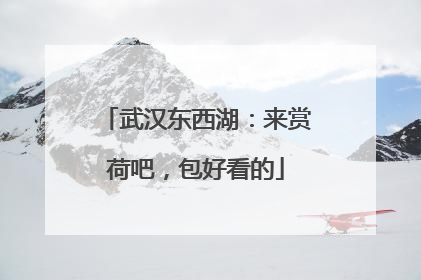 武汉东西湖：来赏荷吧，包好看的
