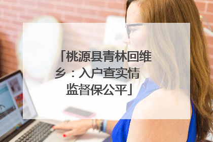 桃源县青林回维乡：入户查实情 监督保公平