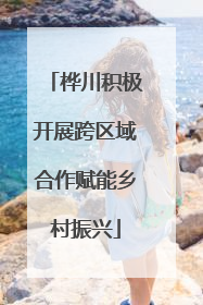桦川积极开展跨区域合作赋能乡村振兴