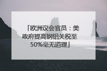 欧洲议会官员：美政府提高钢铝关税至50%毫无道理