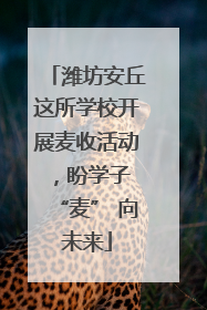 潍坊安丘这所学校开展麦收活动，盼学子 “麦” 向未来