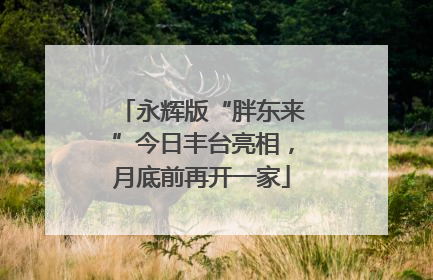 永辉版“胖东来”今日丰台亮相，月底前再开一家