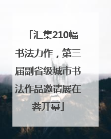 汇集210幅书法力作，第三届副省级城市书法作品邀请展在蓉开幕