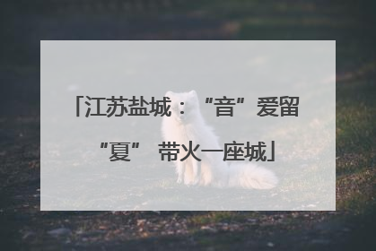 江苏盐城：“音”爱留“夏” 带火一座城