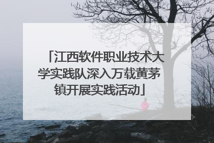 江西软件职业技术大学实践队深入万载黄茅镇开展实践活动