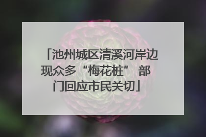 池州城区清溪河岸边现众多“梅花桩” 部门回应市民关切