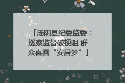 汤阴县纪委监委：巡察监督破梗阻 群众喜圆“安居梦”