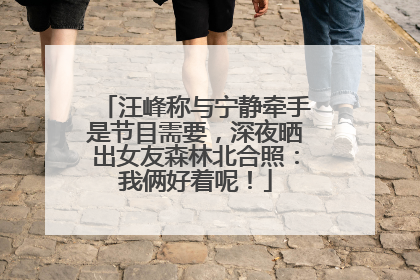汪峰称与宁静牵手是节目需要，深夜晒出女友森林北合照：我俩好着呢！