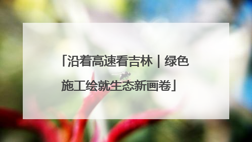 沿着高速看吉林｜绿色施工绘就生态新画卷