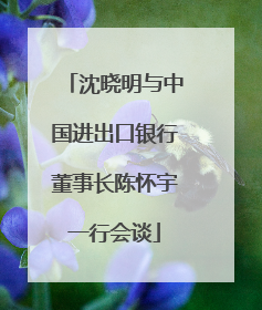 沈晓明与中国进出口银行董事长陈怀宇一行会谈
