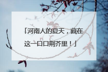 河南人的夏天，藏在这一口口荆芥里！