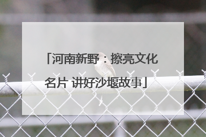 河南新野：擦亮文化名片 讲好沙堰故事