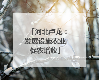 河北卢龙:发展设施农业促农增收