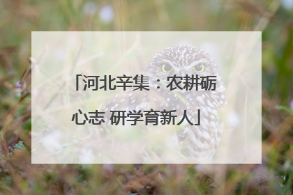 河北辛集：农耕砺心志 研学育新人