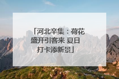 河北辛集：荷花盛开引客来 夏日打卡添新景