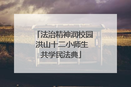 法治精神润校园 洪山十二小师生共学民法典
