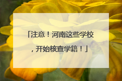 注意！河南这些学校，开始核查学籍！