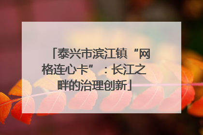 泰兴市滨江镇“网格连心卡”：长江之畔的治理创新