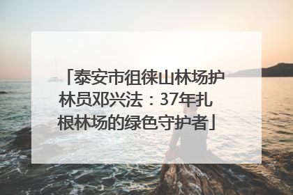 泰安市徂徕山林场护林员邓兴法：37年扎根林场的绿色守护者