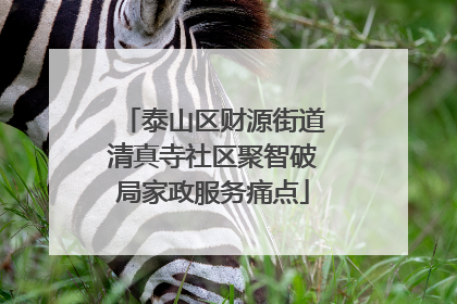 泰山区财源街道清真寺社区聚智破局家政服务痛点
