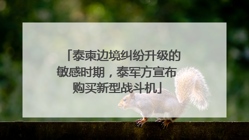 泰柬边境纠纷升级的敏感时期，泰军方宣布购买新型战斗机