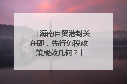 海南自贸港封关在即，先行免税政策成效几何？