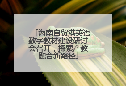 海南自贸港英语数字教材建设研讨会召开，探索产教融合新路径