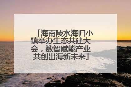 海南陵水海归小镇举办生态共建大会，数智赋能产业共创出海新未来