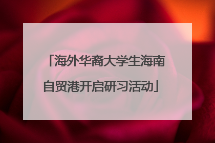 海外华裔大学生海南自贸港开启研习活动