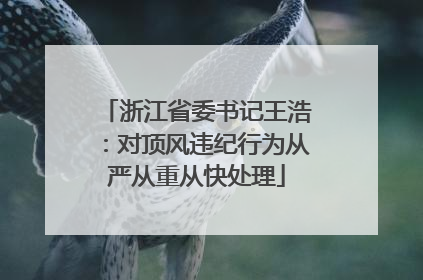 浙江省委书记王浩：对顶风违纪行为从严从重从快处理
