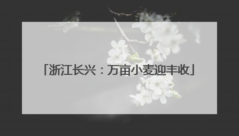 浙江长兴：万亩小麦迎丰收