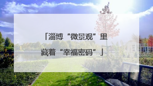 淄博“微景观”里藏着“幸福密码”