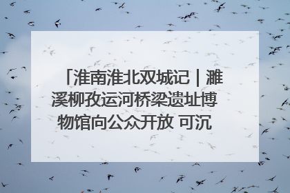 淮南淮北双城记｜濉溪柳孜运河桥梁遗址博物馆向公众开放 可沉浸式触摸历史