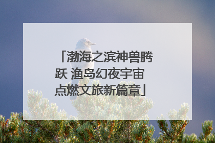 渤海之滨神兽腾跃 渔岛幻夜宇宙点燃文旅新篇章