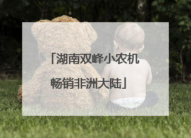 湖南双峰小农机畅销非洲大陆