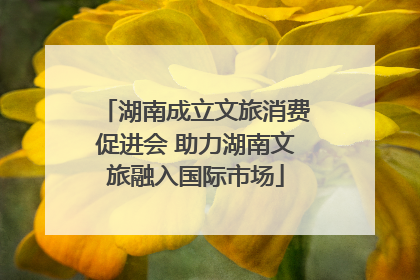 湖南成立文旅消费促进会 助力湖南文旅融入国际市场