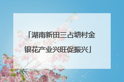湖南新田三占塘村金银花产业兴旺促振兴